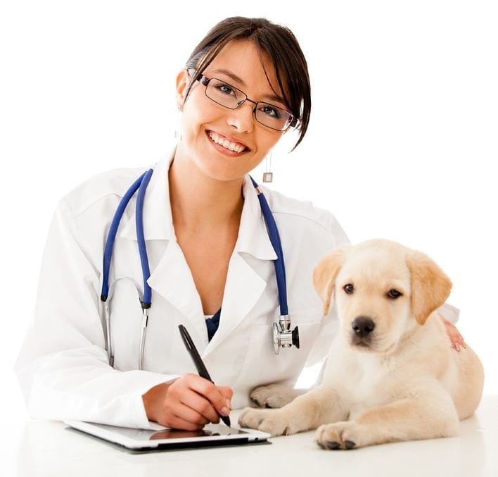 Veterinaria con bata blanca junto a un cachorro golden retriever sobre la mesa de consulta